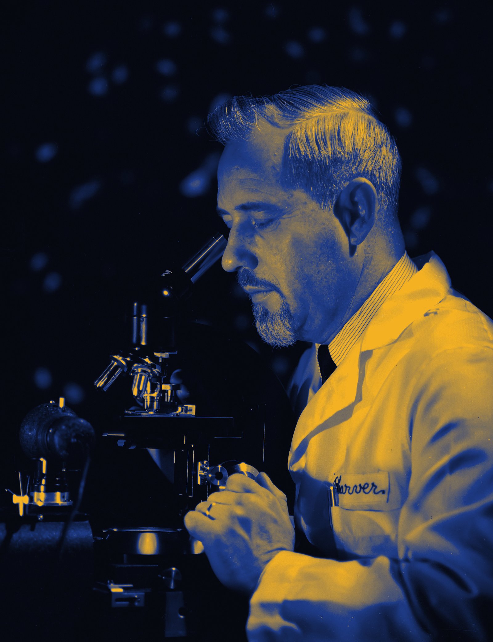A scientist at a microscope, graded in navy and gold